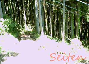 �t���C��