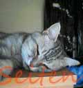 �g�тŎB�������I