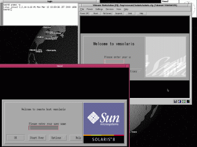 vmware-sol8-xnest-s.gif